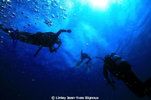 Divers in the shadow .Balaclava Mauritius 30 metres maxim... by Linley Jean-Yves Bignoux 